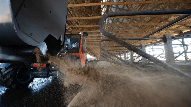telehandler in a barn