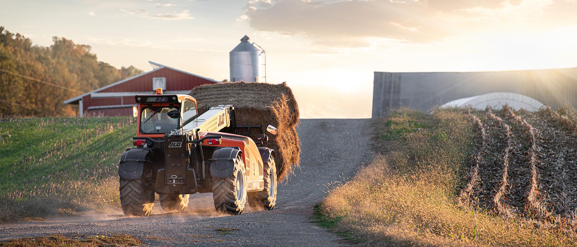 AG823 in Field